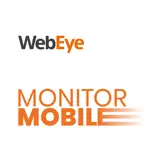 Monitor Mobile Icon