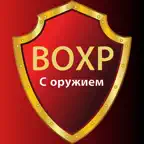 Ведомственная охрана 2026 icon