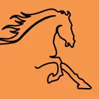 Töltriding Icon
