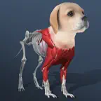 Idle Pet - Create cell by cell iOS Icon