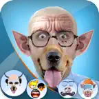 Funny Face App Editor 2020 iOS Icon