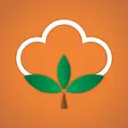 MORO Cotton Calculator iOS Icon