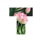Text: Stylish fonts・Story font iOS Icon