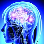 Learn Nervous System iOS Icon