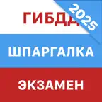 Шпаргалка на экзамен ПДД ГИБДД iOS Icon