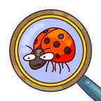 Hidden Objects - Fantasy World iOS Icon