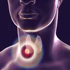 Learn Endocrine System iOS Icon