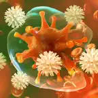 Learn Immune System iOS Icon