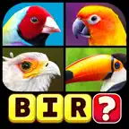 Word Puzzle: Guess the Word iOS Icon