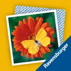 memory® iOS Icon