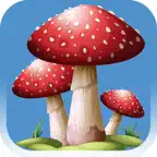 Forest Mushroom iOS Icon