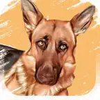 Dog Breeds Identifier iOS Icon