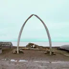 Iñupiat iOS Icon