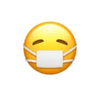 Дневник Самоизоляции iOS Icon