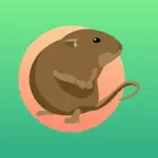 Arvicola Obs iOS Icon