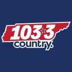 103-3 Country iOS Icon