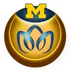 MeTime PainRelief iOS Icon