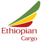 Ethiopian Cargo iOS Icon