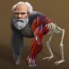 Idle Evolution - Cell to Human iOS Icon