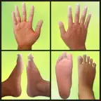 Reflexology Areas iOS Icon