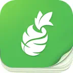 鳳梨小說 icon