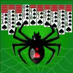 .Spider Solitaire! iOS Icon