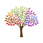 BDS Next iOS Icon