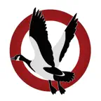 Goose Tech iOS Icon