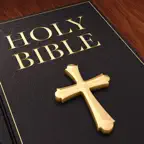 Bible Study AI - Read Offline iOS Icon