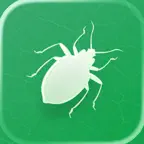Insecta - Bug Identifier iOS Icon
