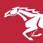 Mustang apsardze Icon