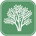 Träd i Malmö iOS Icon