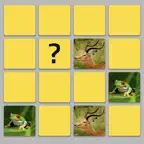 Find The Pairs iOS Icon