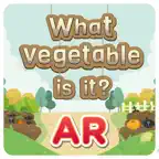 What Vegetable is it AR iOS Icon