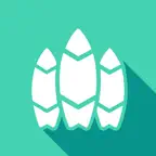 Water Sports iOS Icon