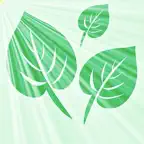 Yezi Fresh iOS Icon
