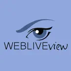 Webliveview Sales iOS Icon