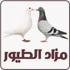 مزاد الطيور والحمام والدجاج iOS Icon
