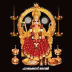 PARAMEKKAVU iOS Icon
