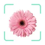 Plantr - Plant Identifier app iOS Icon