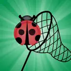 Garden: Catch Bugs iOS Icon