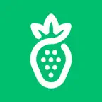 Земляника iOS Icon