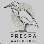 PrespaWings iOS Icon