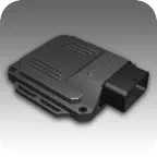 RhinoChip iOS Icon