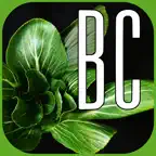 Bok Choy AK iOS Icon