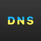 DNS Client: Lookup & Query icon