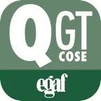 Quiz Gestore trasporto Cose iOS Icon