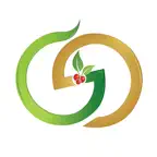 GREEN GOLD - الذهب الأخضر iOS Icon