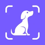 Feedog: homemade dog food diet iOS Icon