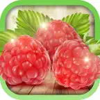 Edible Wild Plants iOS Icon